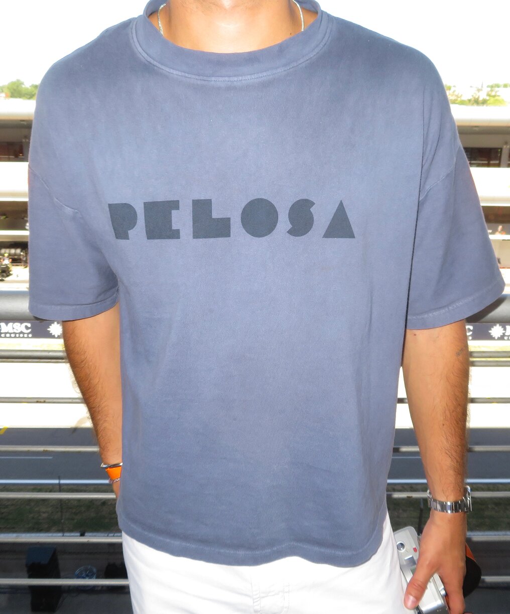 Pelosa